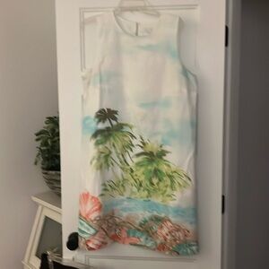 J jill island dress size large